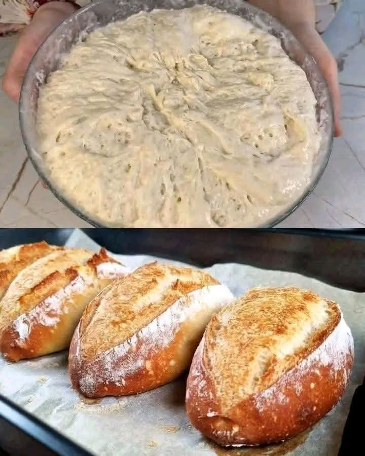 NoKnead Perfect Bread The FB_IMG_1765289062412