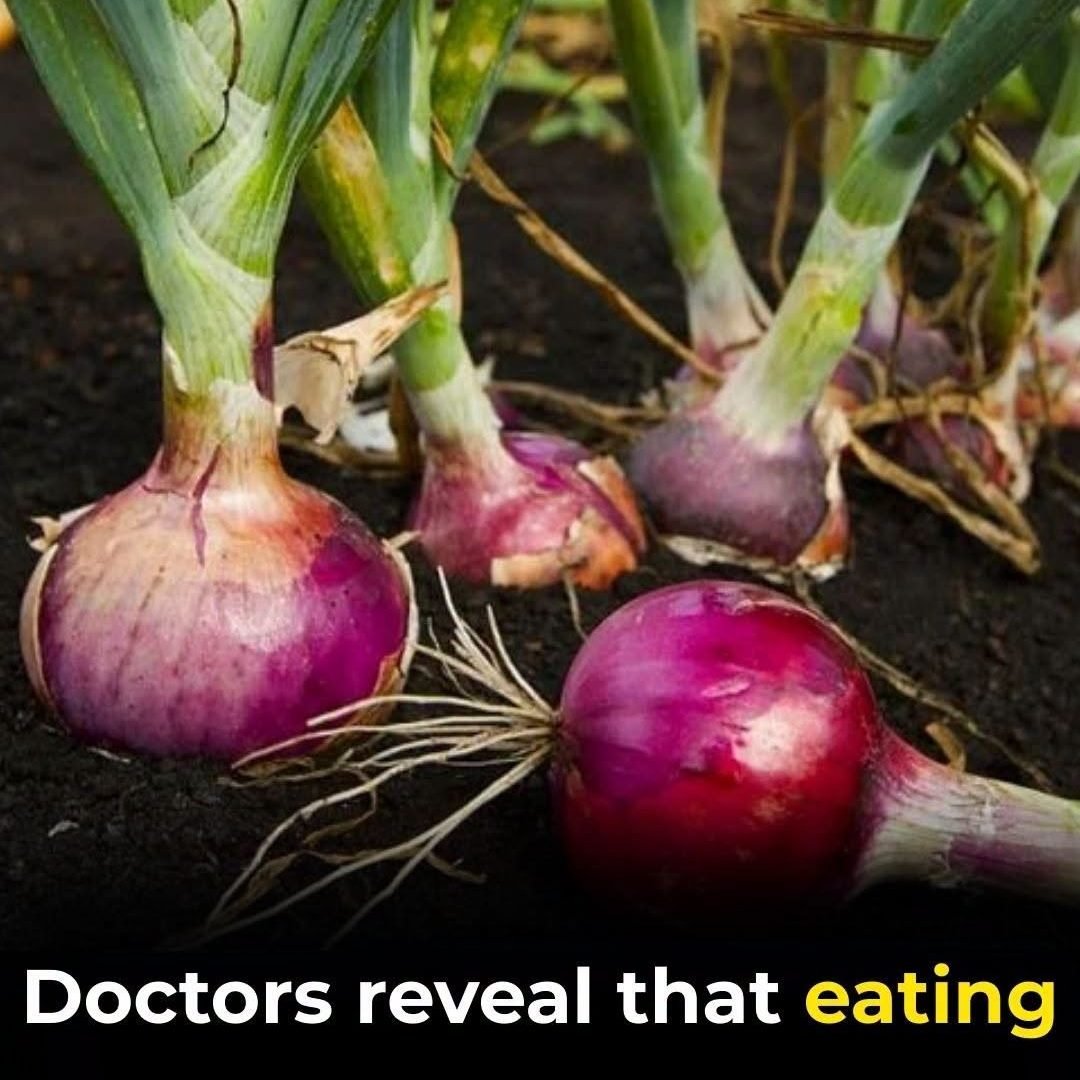 The Health Benefits of Eating Onions 786167159_1731045291552764_1311911183203562882_n