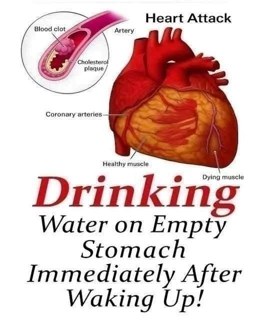 Drinking Water on an Empty Stomach: What You Need to Know 825292778_1850714259625479_485530247465465347_n