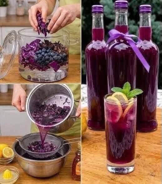 Refreshing Red Cabbage and Blueberry Drink Recipe 828365397_1146083511180748_2430876316491854775_n