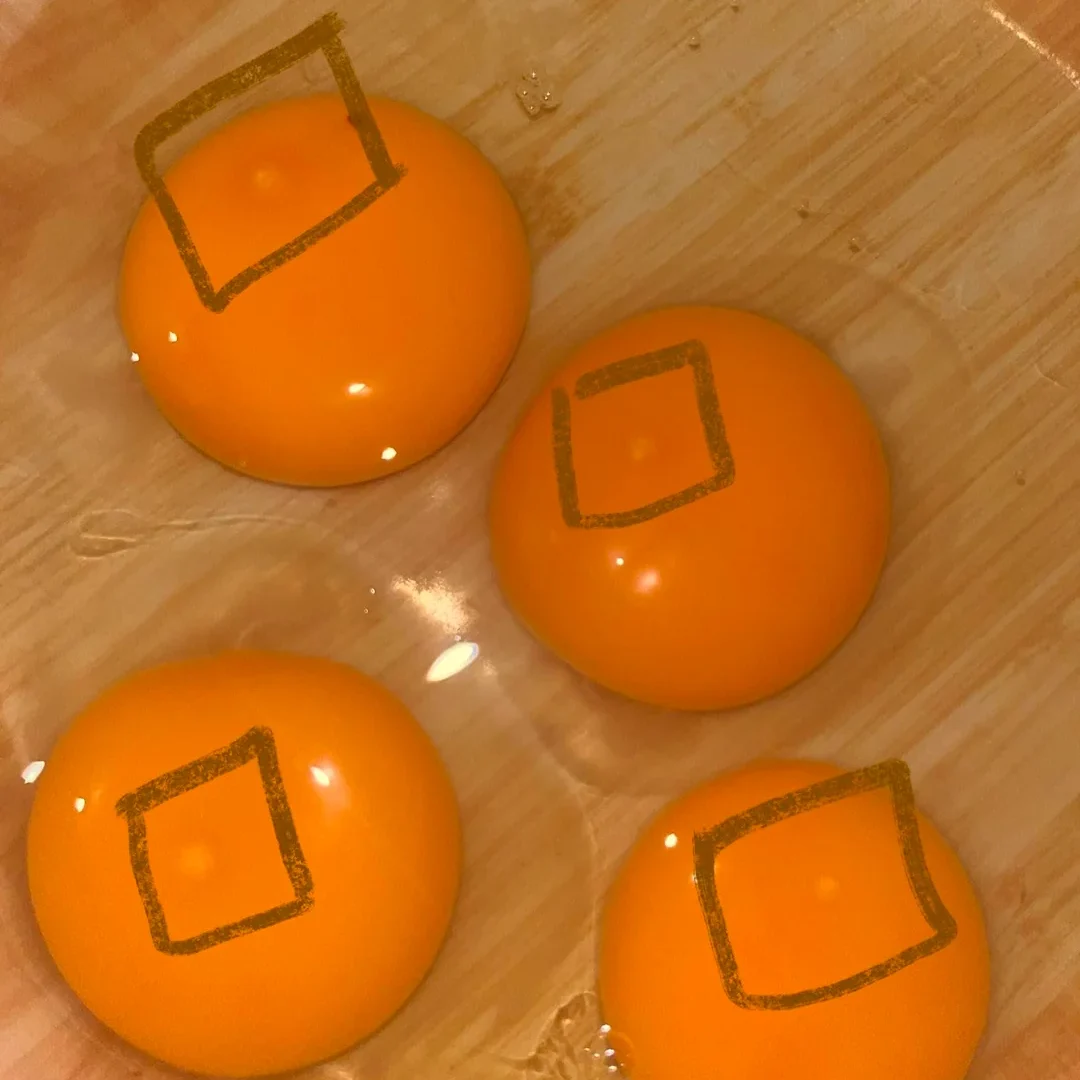 What Are the Small White Dots on Egg Yolks? what-are-those-small-white-dots-on-the-yolk-v0-1snp4iixxyrh1
