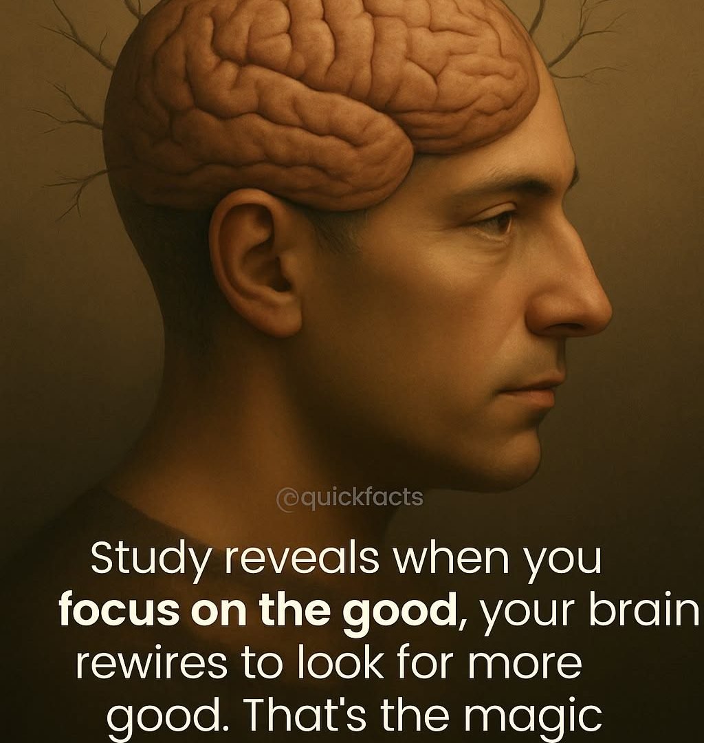 Here's Why Choosing What You Focus On Is One of the Most Powerful Things You Can Do for Your Mind 593579735_122274076004227240_8999122475667059321_n