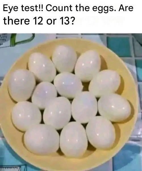The Egg Counting Puzzle: Are There 12 or 13 Eggs? 799983665_1071138471944444_1686083706846788214_n