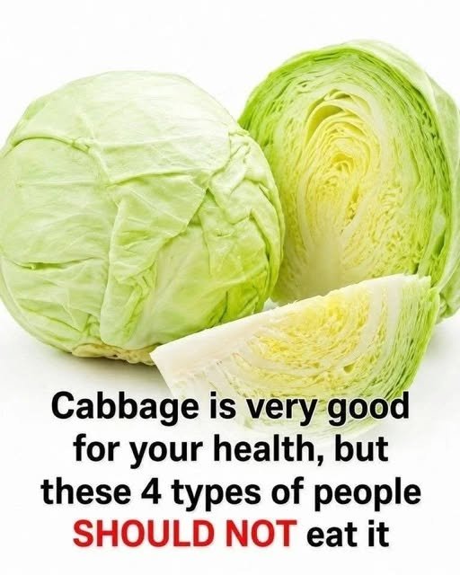 Cabbage Is Very Good for Your Health, But These 4 Types of People Should Not Eat It 825292255_1850717762958462_3769762325738447005_n