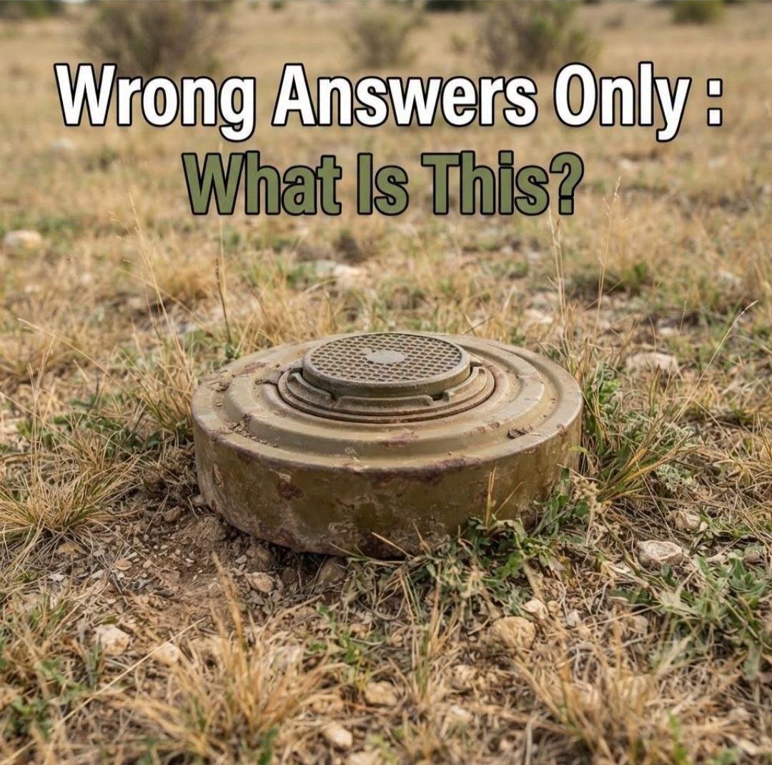 Wrong Answers Only: What Is This? 828564174_1600188208264581_8049041487885984169_n