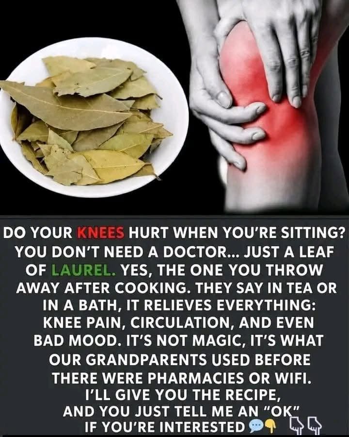 Natural Bay Leaf Tea Recipe for Knee Comfort 831255533_1130864522945528_7198358700280621576_n