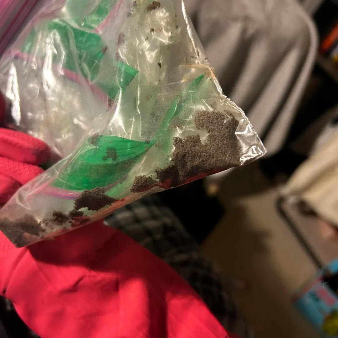 Found This in My Son's Room: What Does It Mean? found-in-recently-deceaseds-room-v0-4ukc524hgqsh1