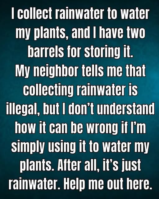 Is Collecting Rainwater Illegal? What You Need to Know image