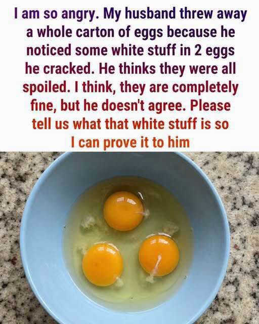 Title: What Is the White Stuff in Eggs? A Common Kitchen Question Answered image