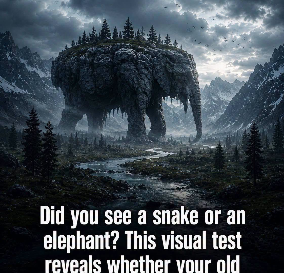 Did You See a Snake or an Elephant? The Truth About This Visual Test image
