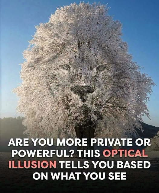 Are You More Private or Powerful? The Optical Illusion Explained image