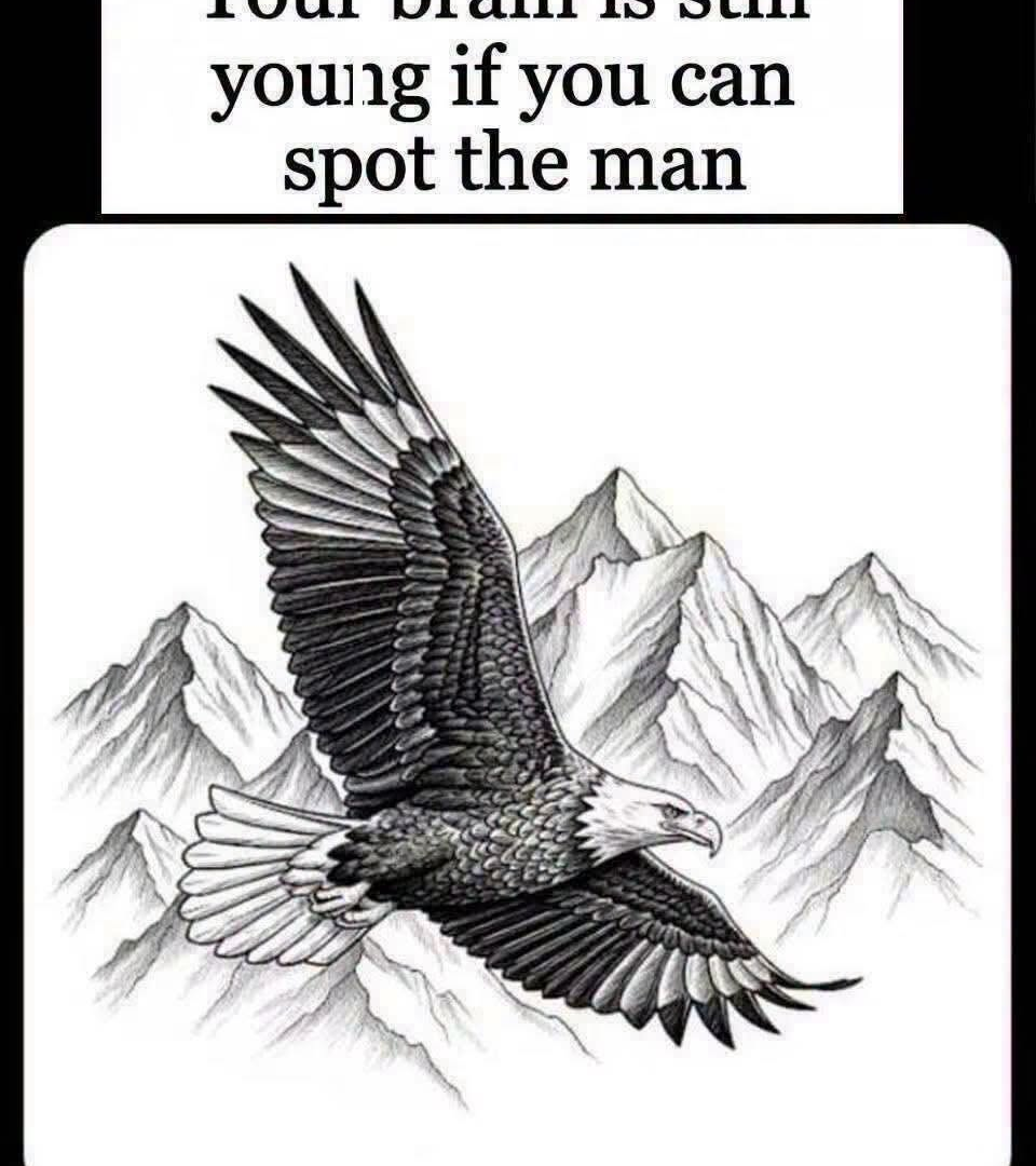 Can You Spot the Man Hidden in This Eagle Drawing? image
