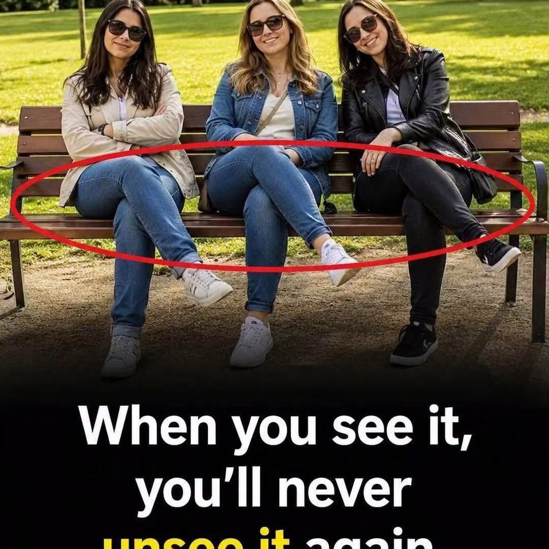 When You See It, You Will Never Unsee It: The Park Bench Photo Puzzle image