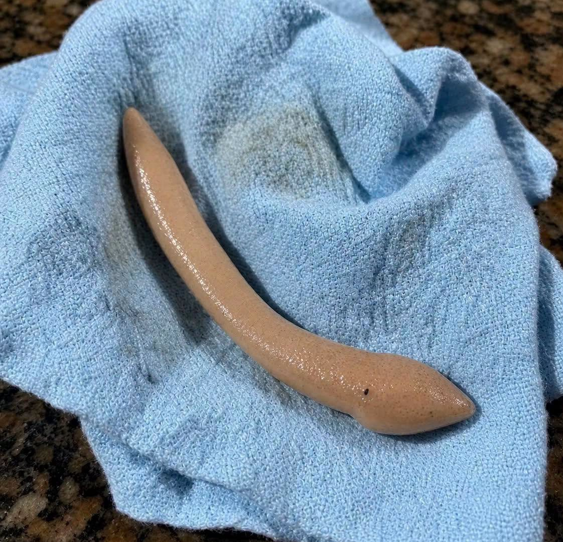 What Is This Strange Object Found on the Bathroom Floor? image