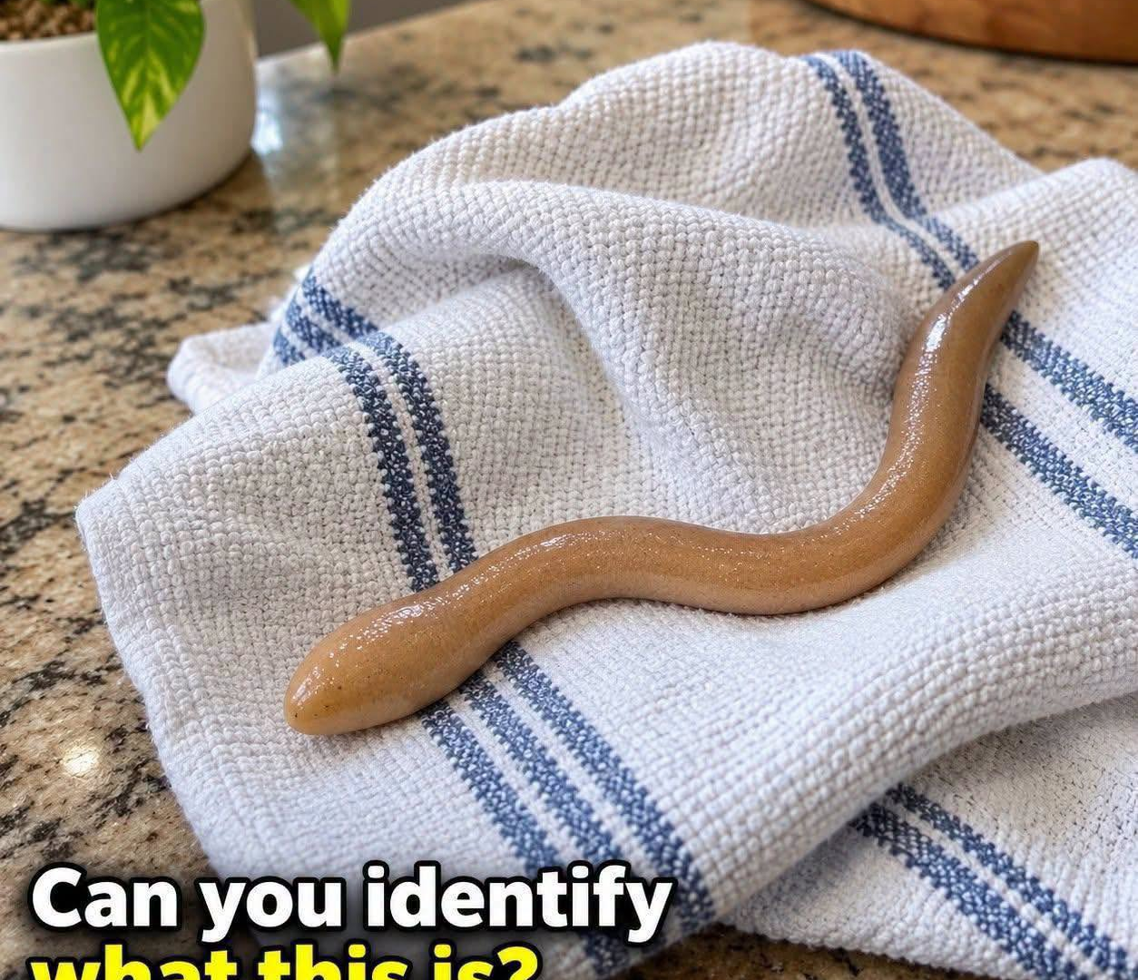 What Is This Strange Object? A Simple Explanation image