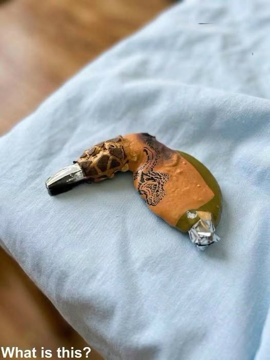 What Is This Object Found in the Oven After Thanksgiving Dinner? image