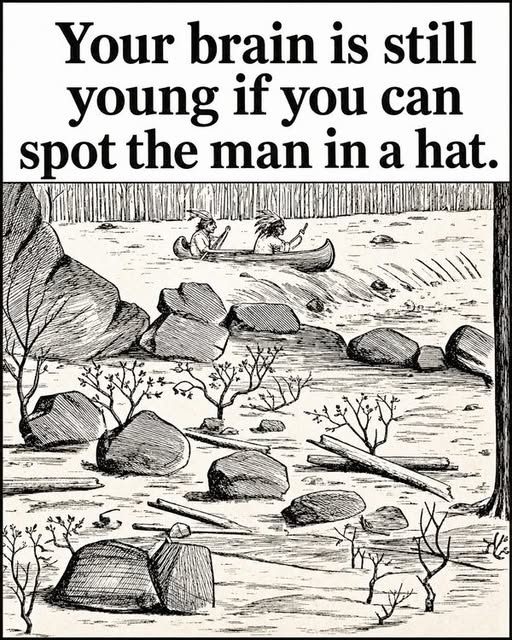 Can You Spot the Hidden Man in the Hat? image