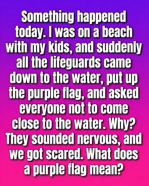 What Does a Purple Flag Mean at the Beach? image