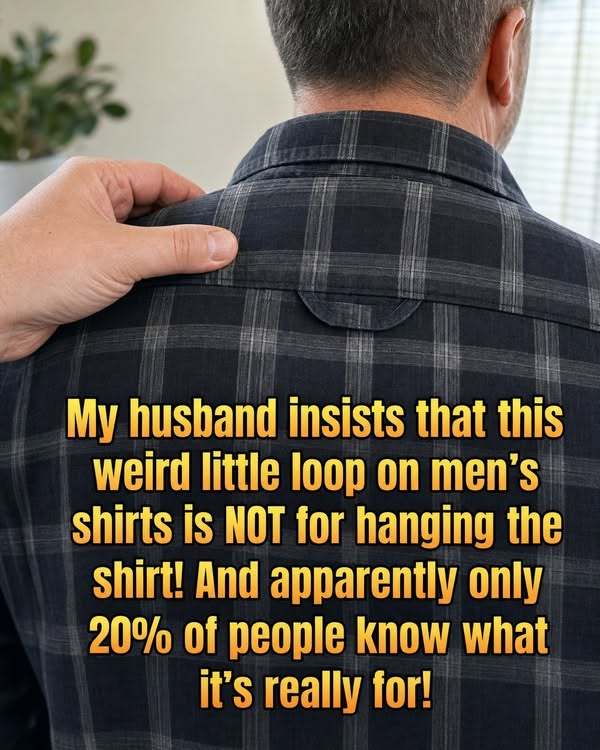 What Is the Loop on the Back of a Men's Shirt For? image