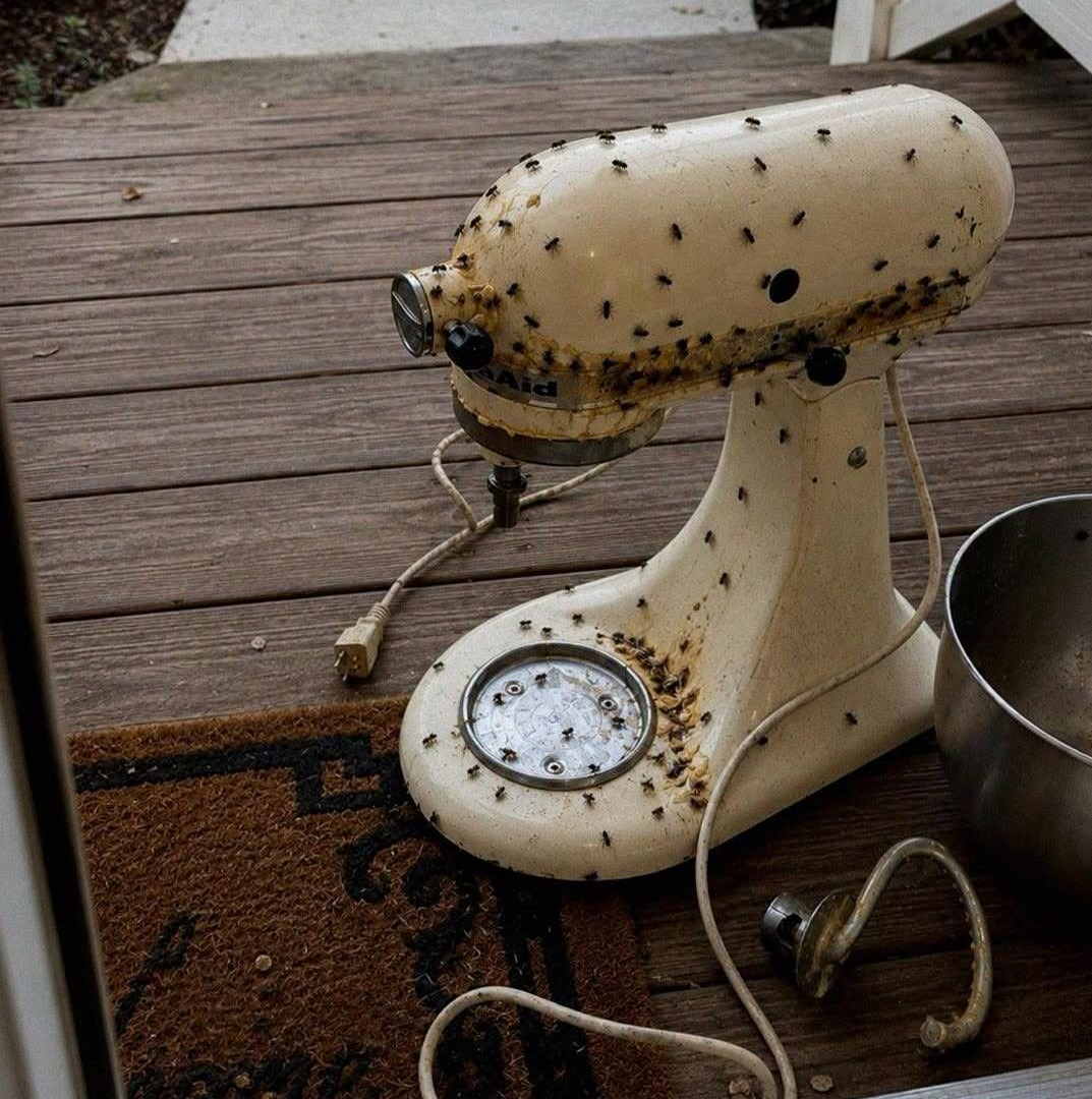 My Neighbor Broke My Late Mother's Mixer and Left It on My Porch image