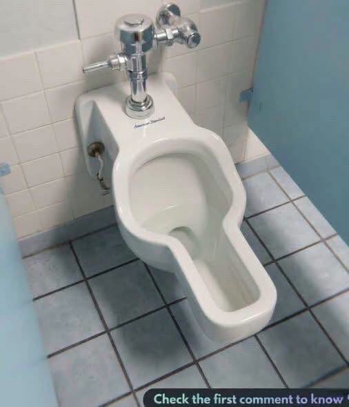 What Is This Toilet in the Women's Restroom? image