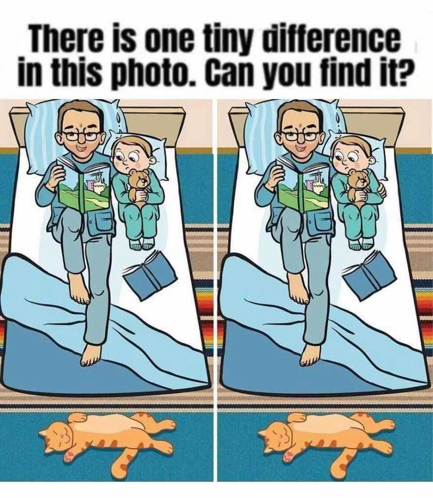 There Is One Tiny Difference in This Photo: Can You Find It? image