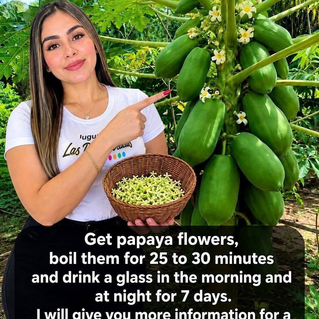 Natural Papaya Flower Tea Recipe for Daily Wellness image