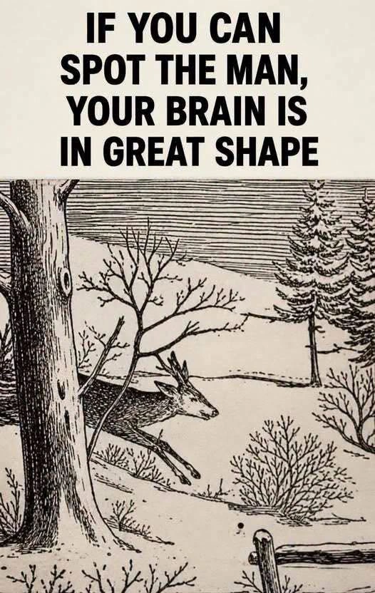 Can You Spot the Man? The Hidden Figure Optical Illusion wordpress_ready_spot_the_man